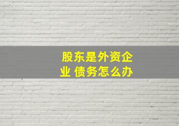 股东是外资企业 债务怎么办